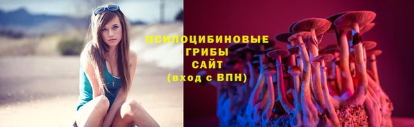 герыч Пересвет
