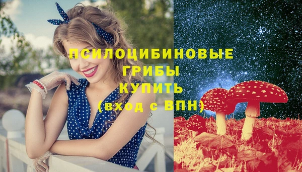 герыч Пересвет