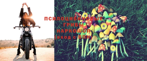 герыч Пересвет