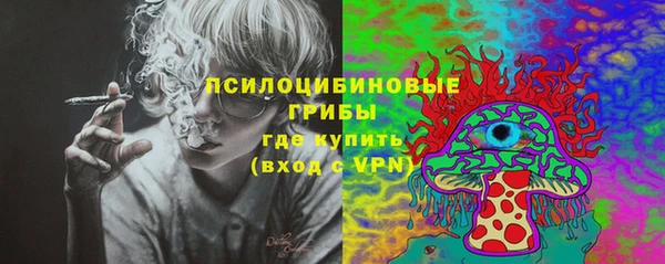 гашик Переславль-Залесский