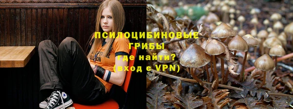 герыч Пересвет