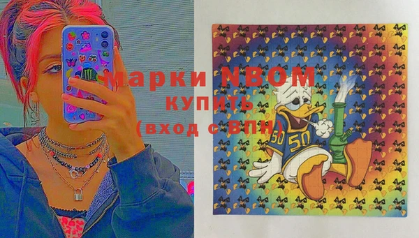 гашик Переславль-Залесский