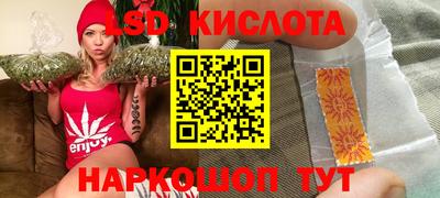 прущие грибы Абакан