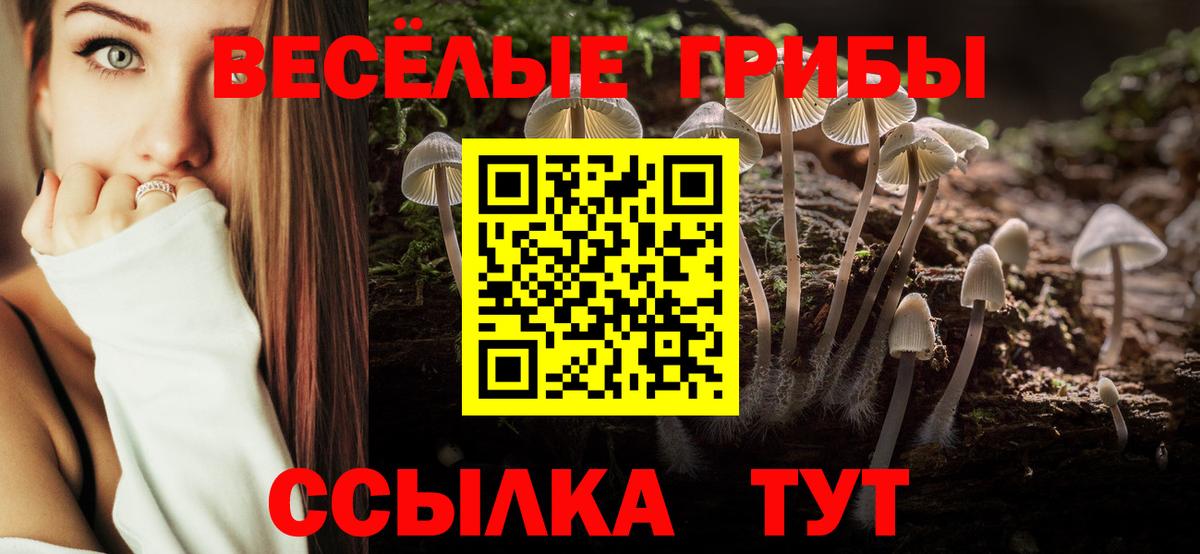 Амурск  Галлюциногенные грибы прущие грибы  Псилоцибиновые грибы ЛСД  Вход с VPN 