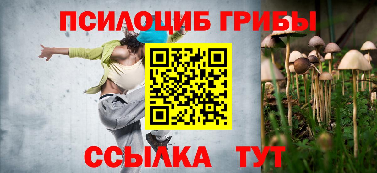 Псилоцибиновые грибы Psilocybine cubensis  Вход с VPN  Амурск 