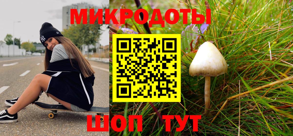 Псилоцибиновые грибы Psilocybe Амурск