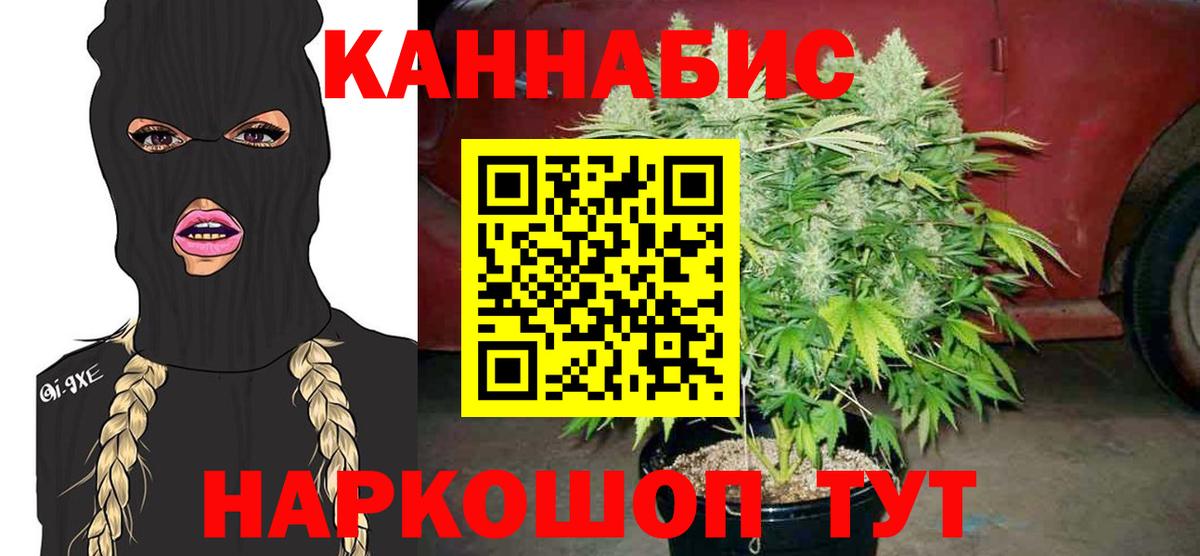 Бошки марихуана конопля  Конопля планчик  Амурск  Вход с VPN  Конопля ГИДРОПОН 